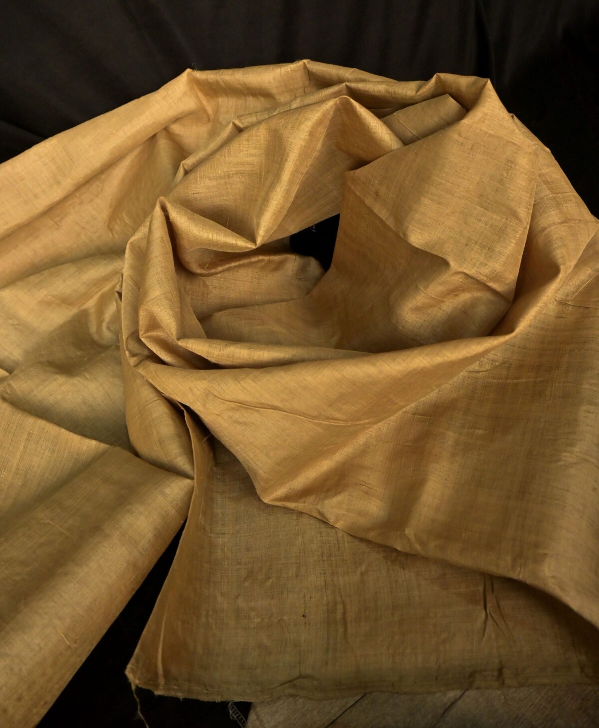 Muga Fabric Plain - Image 5