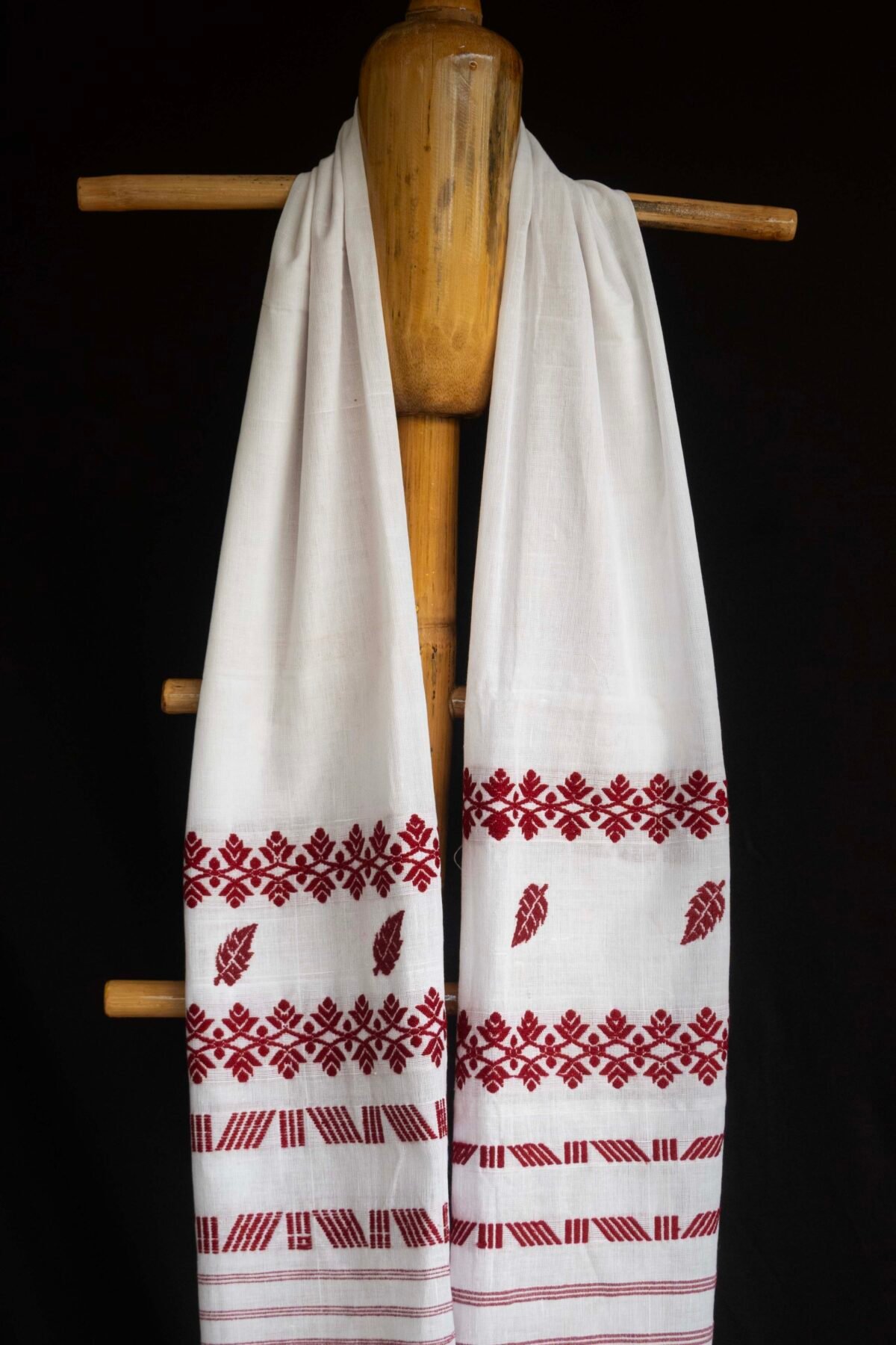 COTTON GAMOSA