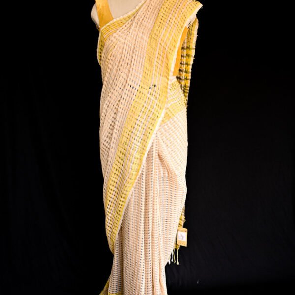 Alternative view of ERI SAREE SKIP