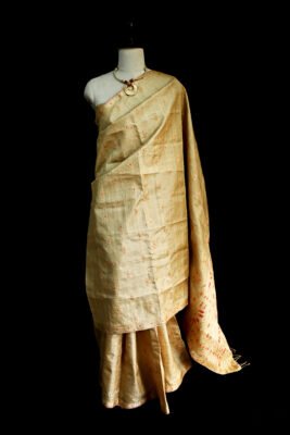 MUGA SILK SAREE AXOM