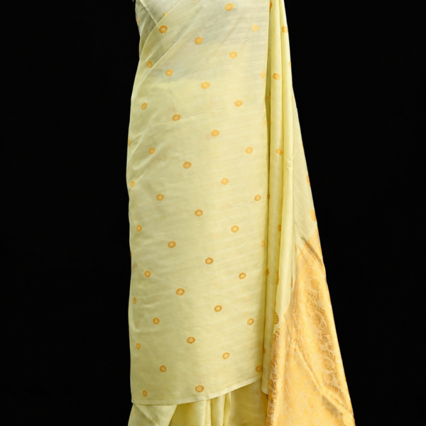 MULBERRY SAREE GAARI